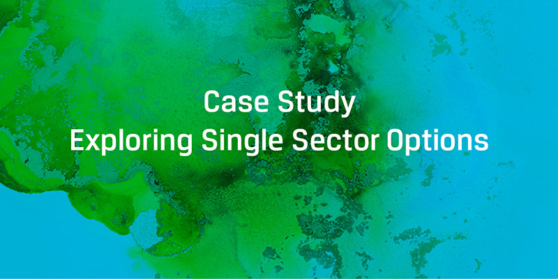 Illiquid Asset Case Study Exploring single sector options